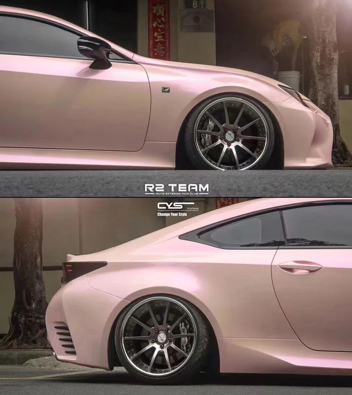 Platinum Gloss Metallic: Dreamy Rogue Pink X-DR170 - Image 3